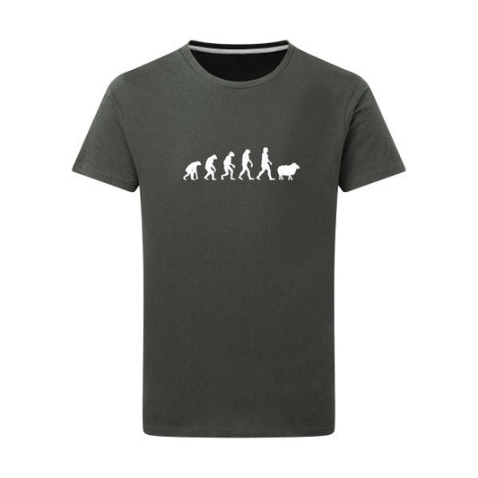 Tee-shirt evolution - Panurge Evolution - pour homme - T-shirt-original.com