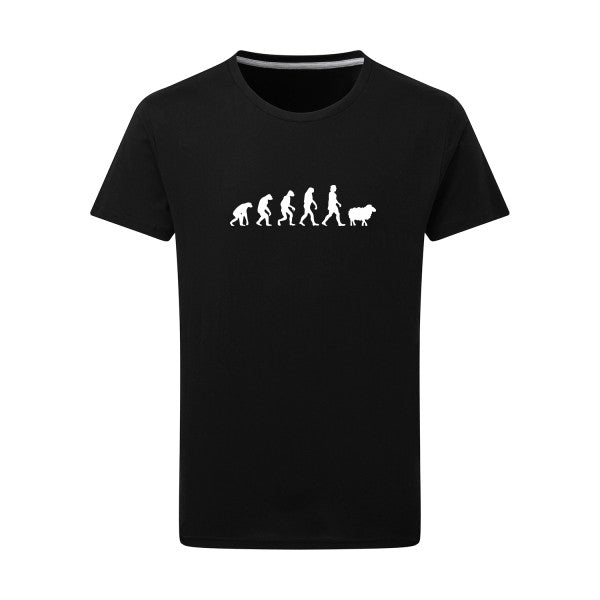 Tee-shirt evolution - Panurge Evolution - pour homme - T-shirt-original.com